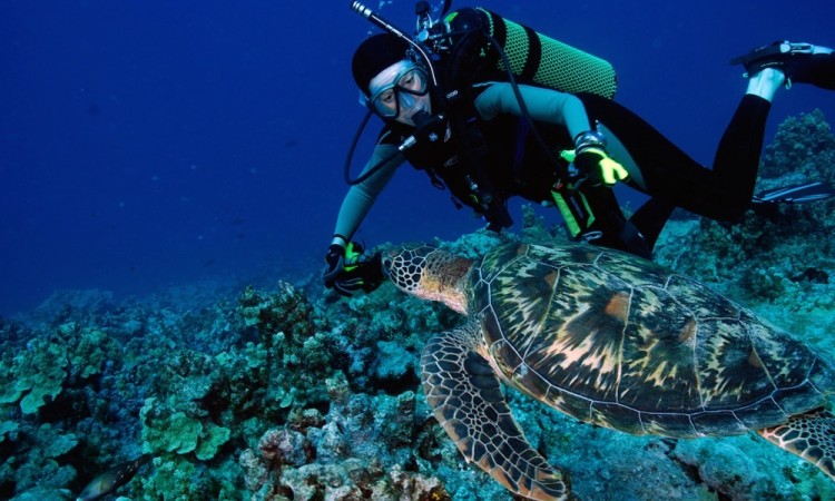 PADI Training Program